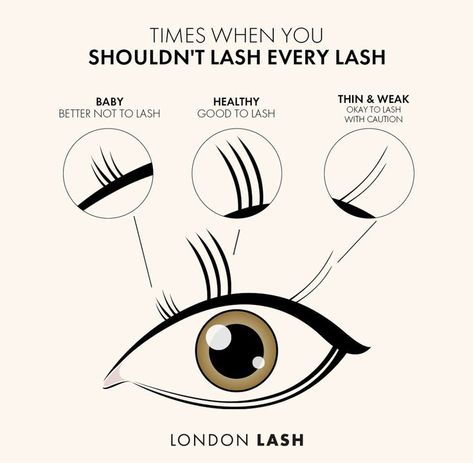 Lash Room Ideas, Eyelash Studio, Eyelash Extensions Salons, Lash Extension Training, Eyelash Extension Training, Lashes Tutorial, Eyelash Tips, Eyelash Technician, Perfect Eyelashes