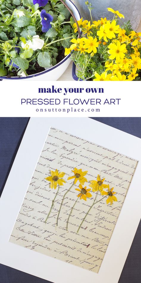 Diy Pressed Flower Art, Pressed Flower Wall Art, Pressed Flower Wall, Leaf Art Diy, Pressed Flowers Diy, Press Flowers, Pressed Flower Crafts, Sutton Place, Dried And Pressed Flowers