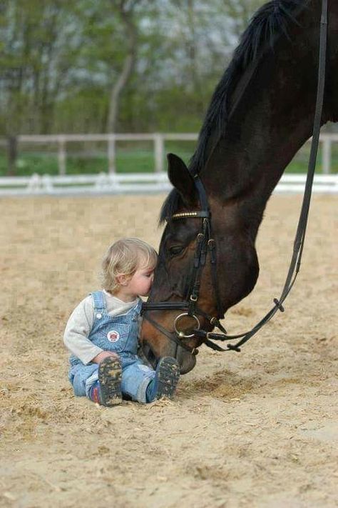 Looks like an my friend Timi ♡ i'll never forget Horse Facts, All The Pretty Horses, Horse Crazy, Pretty Horses, Horse Pictures, Horse Love, A Horse, Horse Lover, 귀여운 동물