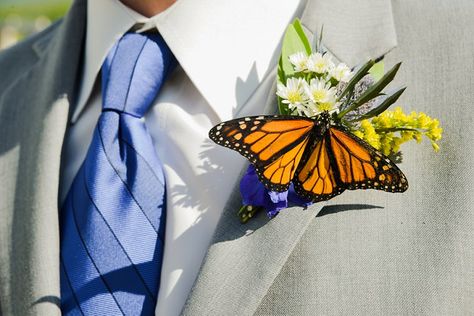 Butterfly Wedding Bouquet, Butterfly Boutonniere, Monarch Butterfly Wedding, Butterfly Garden Wedding, Butterfly Wedding Decorations, Butterfly Wedding Theme, Wedding Butterfly, Butterfly Monarch, Wedding In Colorado