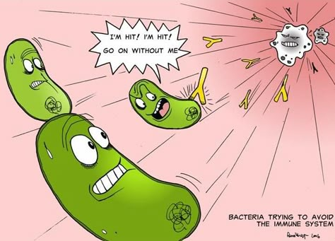 Bad boys bad boys. by Velica Microbiology Humor, Bacteria Cartoon, Science Humor Chemistry, Science Humour, Biology Jokes, Biology Memes, Science Cartoons, Biology Humor, Science Puns