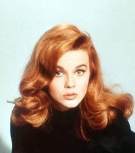 ann margret Ann Margaret, 60s Hair, Mod Hair, Ann Margret, Celebrity Pics, Top Celebrities, New Haircuts, Pompadour, Desktop Wallpapers