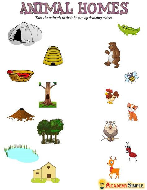 Animals And Their Homes Worksheets, Habitat Worksheet, Where Animals Live, Animals And Their Homes, Animal Homes, First Grade Math Worksheets, Preschool Activities Toddler, Worksheets For Kindergarten, School Materials