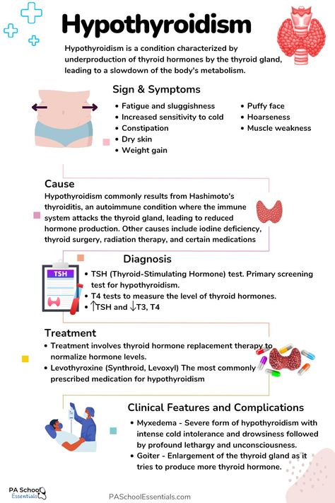 Hypothyroid Vs Hyperthyroid, Hypothyroid Nursing, Lpn Notes, Clinic Branding, Body Functions, Thyroid Symptoms, Pa School, Balance Hormones, Hormone Replacement