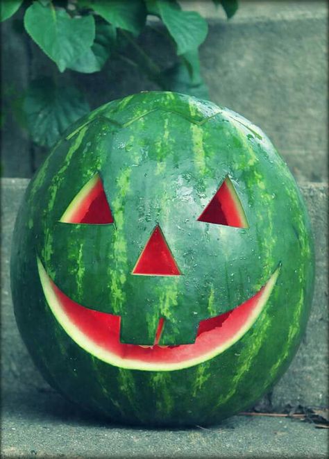 Watermelon Pumpkin! Ted Halloween, Lantern Tattoo, Silver Shamrock, Watermelon Decor, Watermelon Art, Watermelon Carving, 33rd Birthday, Halloween Arts And Crafts, Halloween Countdown