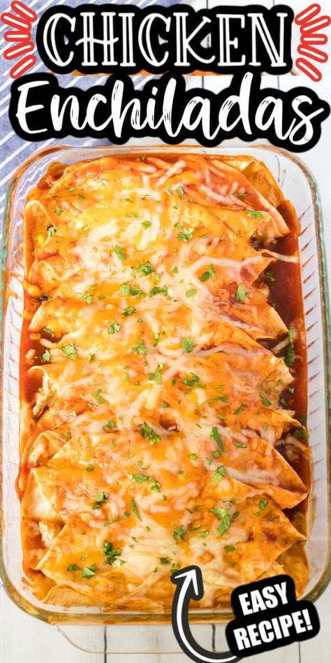 The BEST Chicken Enchilada Recipe! Shredded chicken rolled up in a soft, flour tortilla with cheese and all of your favorite fillings and toppings and smothered with enchilada sauce! A family favorite homemade recipe! Chicken Filling For Enchiladas, Easy Mexican Food Recipes 4 Ingredients Simple Chicken Enchiladas, Chicken Enchiladas With Cream Cheese And Red Sauce, Chick3n Enchiladas, Loaded Chicken Enchiladas, How To Make Chicken Enchiladas Recipes, Dinner Ideas Chicken Enchiladas, Tortilla Chicken Recipe, Flour Corn Tortilla Recipe