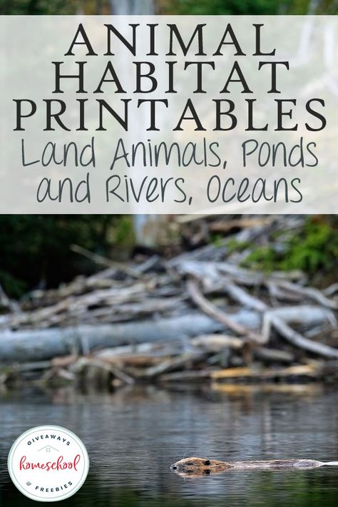 FREE Animal Habitat Printables: Land Animals, Ponds and Rivers, Oceans - Homeschool Giveaways Middle School Animal Science, Habitat Printables Free, Ecosystems Preschool, Lake Animals Preschool, Pond Habitat Projects For Kids, Animal Habitats Activities For Kids, Homeschool Templates, Types Of Biomes, River Animals