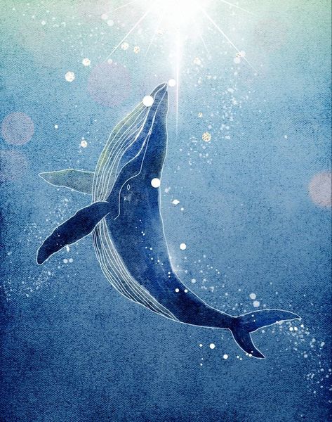 Hope Artwork Illustrations, Cute Whale Painting, Fantasy Whale Art, Whale Illustration Wallpaper, Whale Painting Ideas, Whale Reference, Whales Drawing, Draw Whale, Whale Illustration Art