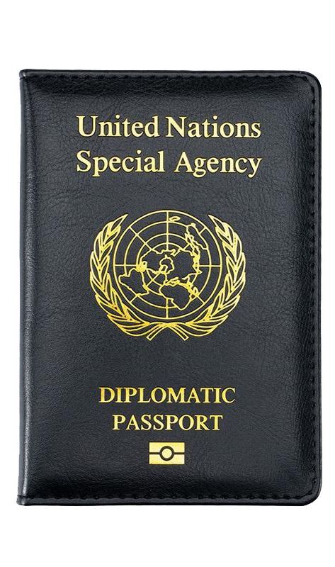 Diplomatic Passport, Dream Career, 2025 Vision, United Nations, Png Images, Vision Board, Career, Quick Saves, Art