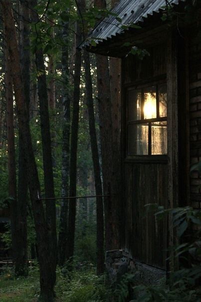 Cabin Core Aesthetic, Woodland Cottage, Bear Cabin, Forest Cabin, Cottage In The Woods, Winter Cabin, About Nature, Cabin In The Woods, Cabin Life