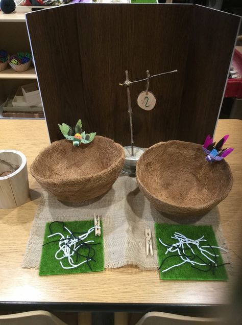 Reggio Math, counting provocation, feeding worms to birds Reggio Math, Worms Preschool, Reggio Provocations, Rainforest Theme, Reggio Emilia Inspired, Reggio Classroom, Math Counting, Bird Theme, Reggio Emilia