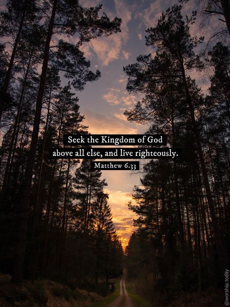 Mark 11:24 Wallpaper, Matthew 6 33 Wallpaper, Matthew 6:33, Seek The Kingdom Of God, God Above All, Motivation Movies, Scripture Wallpaper, Adventurous Life, Matthew 6 33