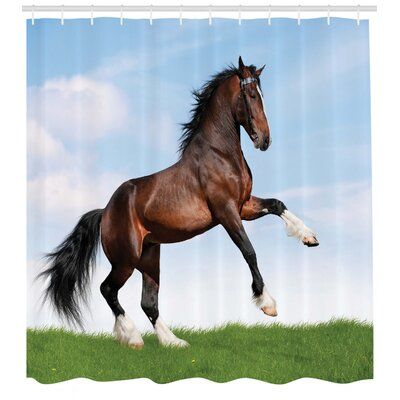 East Urban Home Horses Shower Curtain Set + Hooks Size: 84" H x 69" W Horse Shower Curtain Bathroom, Horse Shower Curtain, Curtain Store, Power Room, Bathroom Decor Sets, Bay Horse, Cotton Shower Curtain, Shower Curtain Decor, Shower Curtain Sets