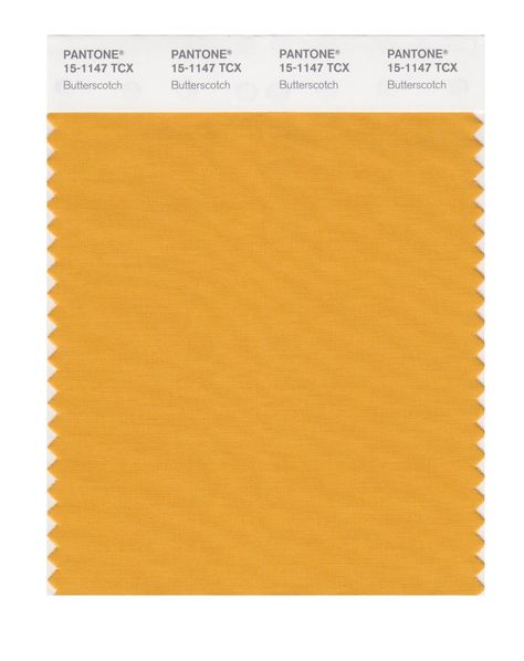 Stickers Amazon, Butterscotch Color, Decor Stickers, Wall Decor Stickers, Color Swatch, Dream Wedding, Wall Decor, Wall, Color