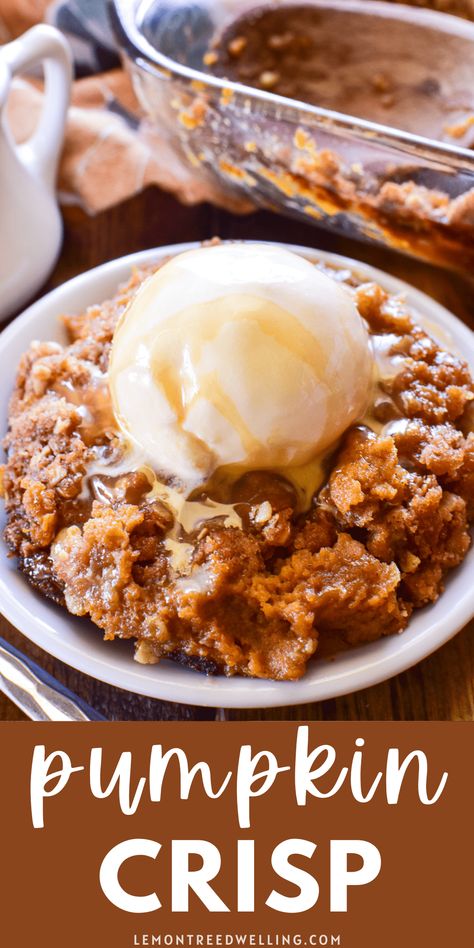 Crisp Dessert Recipes, Pumpkin Pie Crisp, Pumpkin Crisp Recipe, Dessert Recipes Videos, Crunchy Oatmeal, Creamy Pumpkin Pie, Oatmeal Crisp, Pumpkin Crisp, Pumpkin Dishes