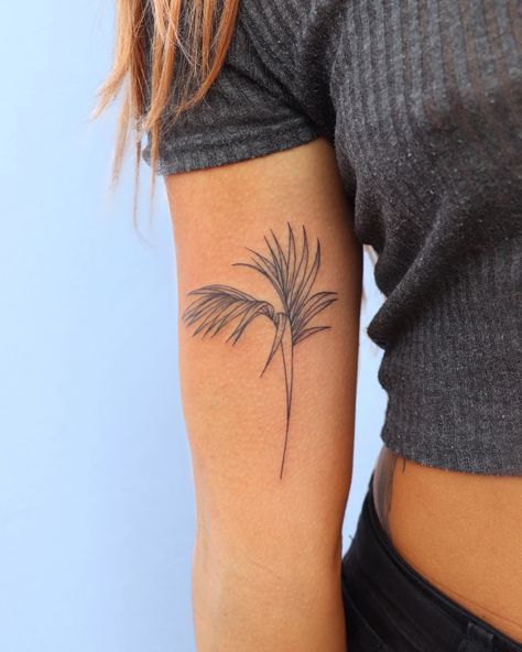 Palm Leaf Tattoo, Bicep Tattoo Women, Tropical Flower Tattoos, Tropical Tattoo, Kentia Palm, Leaf Tattoo, Wildflower Tattoo, Palm Tattoos, Bicep Tattoo