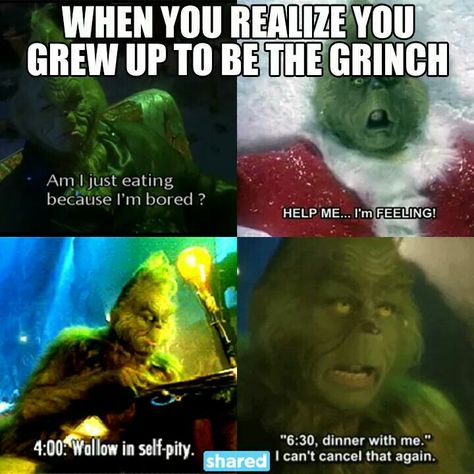 When you realize you grew up to be the grinch Grinch Memes, Grinch Quotes, Ouat Funny, Grinch Christmas Party, Christmas Memes, Funny Text Conversations, Funny Emoji, Funny Vines, Jim Carrey