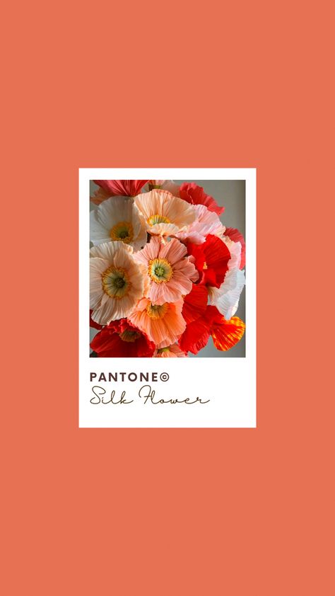 Pantone silk flowers paint swatch art pink red yellow orange Pantone Flower, Pink Cosmos Pantone, Tangerine Pantone, 90s Technology, Poppy Red Pantone, Pantone Tcx Orange, Paint Swatch Art, Swatch Art, Peach Fuzz