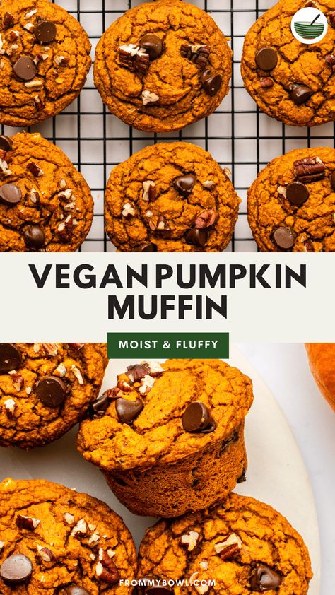 Fluffy and moist, these Gluten-Free Pumpkin Muffins are the perfect pumpkin-filled treat! They're healthy enough breakfast, delicious enough for dessert, and packed with cozy fall flavors. Vegan, Gluten-free, Oil-Free, Refined-sugar free and Nut-free options. Flourless Pumpkin Muffins, Pumpkin Oat Muffins, Pumpkin Oatmeal Muffins, Vegan Pumpkin Muffins, Gluten Free Pumpkin Muffins, Pumpkin Puree Recipes, Pumpkin Oats, Pumpkin Breakfast, Vegan Pumpkin Recipes