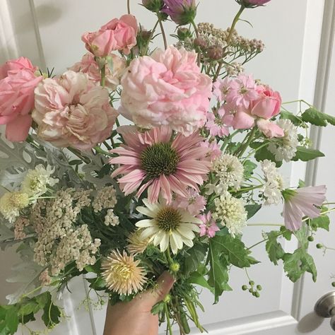 Featuring Samantha Hansen and @redbrickflowerco Spring Crops, Flower Therapy, Beautiful Bouquet Of Flowers, Bouquet Of Flowers, Flowers Nature, Flower Field, Cool Plants, Love Flowers, Pretty Flowers