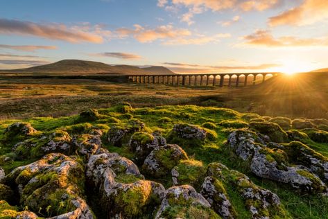 Ribblehead Viaduct, Camping For Beginners, York Minster, Country Landscaping, Yorkshire Dales, Road Trip Itinerary, Scenic Drive, Incredible Places, England Travel