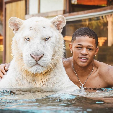 Yk Osiris, Cute Black, Lion, Water, Animals