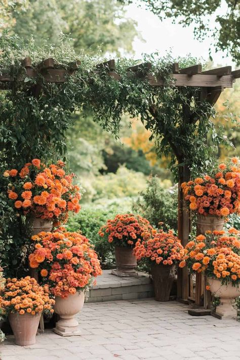 9 Creative Ways To Use Potted Mums In Your Wedding • Mums Ceremony Decor, Wedding Flowers Timeless, Fall Weddings With Mums, Mums Flowers Wedding Decor, Mums Fall Wedding, Mums Aisle Wedding, Wedding Potted Flowers, Mums As Wedding Decor, Fall Aisle Flowers