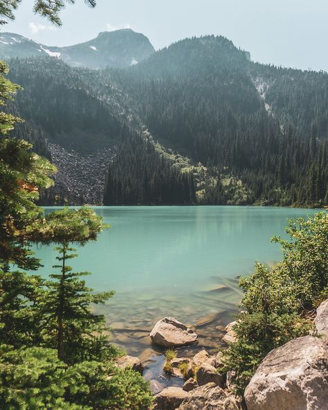 Some places just make you forget about everything else ✨ all that matters is the present moment, and the sound of the trickling streams, the singing birds and the wind 💚 This is Joffre Lakes near Whistler. #joffrelakes #whistlerbc #explorewhistler #hikebc #mountaintherapy #bcmountains #mountainphotographer #whistlerphotographer #britishcolumbiacanada #mountainlifer #exploremountains Joffre Lake, Singing Birds, Singing Bird, Living Kitchen, The Present Moment, Present Moment, British Columbia Canada, Bird Photography, Whistler