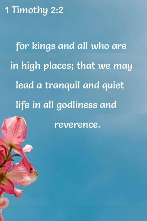 for kings and all who are in high places; that we may lead a tranquil and quiet life in all godliness and reverence. Adam And Eve Bible, Popular Bible Verses, Life Of Jesus Christ, Verses About Love, Book Of Psalms, 1 Chronicles, Bible Verses About Love, Childrens Bible, Ancient Books