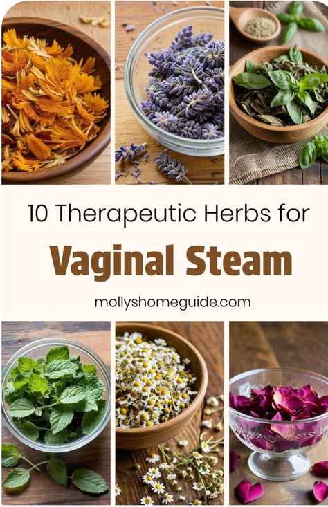 V Steam Diy Herbs, Herbs For Respiratory Infection, Herbs For Breast Growth, Herbs For Bladder Health, Herbs For Vag Health, Herbs For Womb, Herbalism For Beginners, Medicinal Herbs Remedies, Medicine Recipes