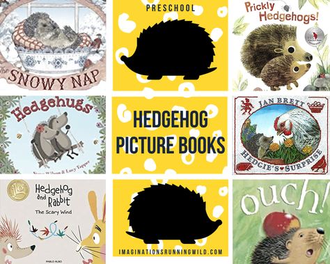 Book Hedgehog, Our Friend Hedgehog, Forest Animals Books Preschool, Hedgehog Travel, Hedgehog Book, Funny Hedgehog, Cute Hug, Hedgehog Craft, Montessori Books