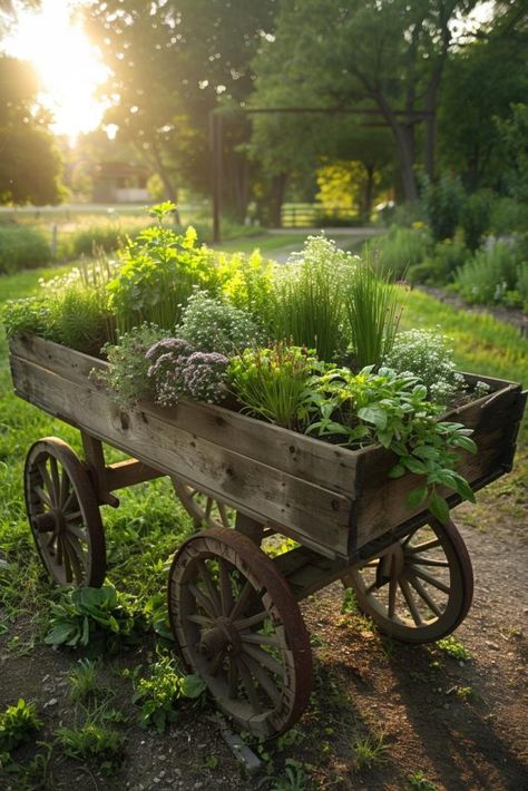 Herb Box Ideas, Farm Style Garden Ideas, Vegetable Garden Decor Ideas, Courtyard Herb Garden Ideas, Cottage Kitchen Garden, Herb Garden Box Ideas, Rustic Garden Design Ideas, Cottage Core Outdoor Decor, Herb Garden Table