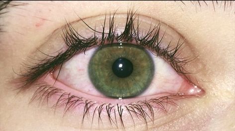 Green Eye Makeup Looks, Color Combinations Green, Green Eye Color, Green Eyes Aesthetic, Olive Green Eyes, Green Eyes Makeup, Dark Green Eyes, Green Eye Makeup, Hazel Green Eyes