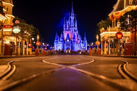 Best & Worst Days to Visit Every Park at Disney World in 2024-2025 - Disney Tourist Blog Disney World 2025, Disney World Itinerary, Disney Tourist Blog, Disney World Tickets, Disney Board, Worst Day, Days Of The Week, Disney Park, Disney World Trip