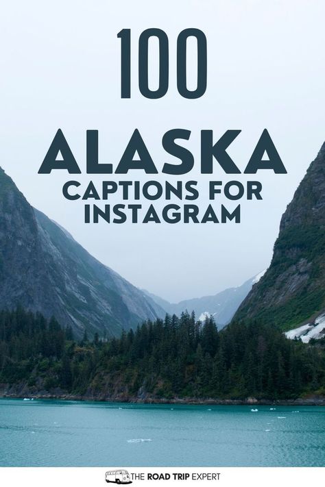 Alaska Captions for Instagram Snow Captions For Instagram, Captions For Instagram Photos, Looking For Alaska Quotes, Alaska Quotes, Couple Instagram Captions, Alaska Pictures, Instagram Post Captions, Captions For Instagram Posts, Alaska Photos