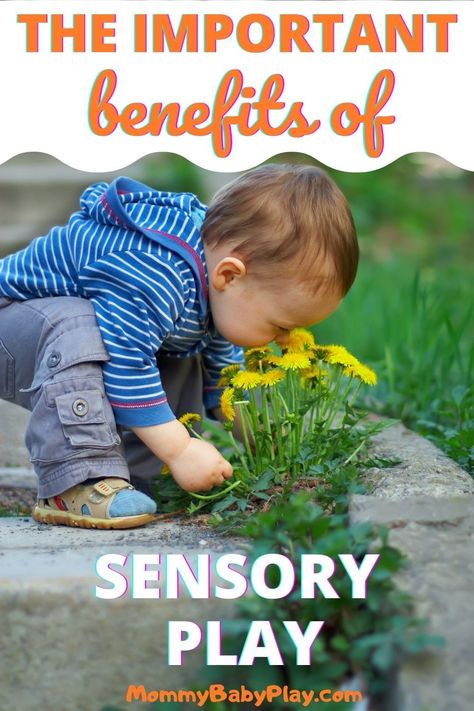 Sensory Bin Benefits, Benefits Of Sensory Bins, Sensory Play Benefits, Benefits Of Sensory Play, Sensory Play Quotes, Sensory Play Baby, Sensory Processing Disorder Activities, Sensory Processing Disorder Symptoms, Sensory Play For Babies