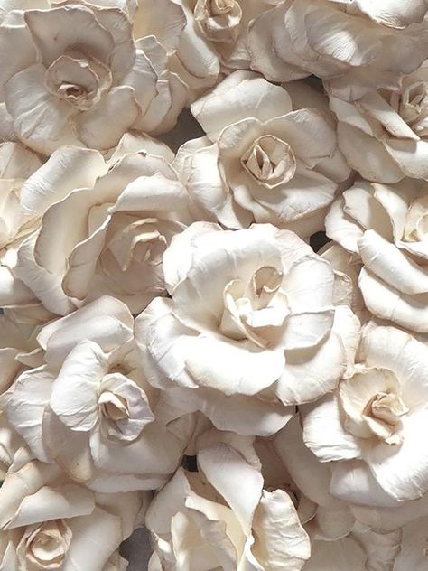 Paper Rose Tutorial, Rose Tutorial, Ivory Roses, Paper Rose, Paper Flower Tutorial, Paper Flowers Diy, Wood Work, Paper Roses, Flower Tutorial