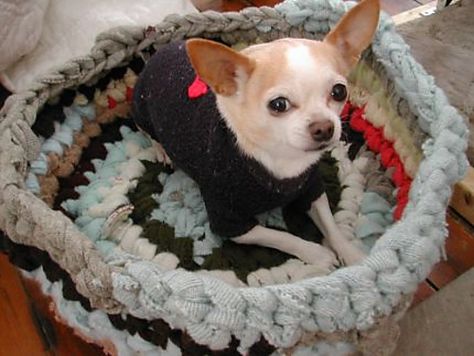 adorbs Crochet Dog Bed, Upcycle Crochet, Braided Sweater, Stylish Dog Beds, Diy Pet Bed, Crochet Pet, Diy Dog Bed, Recycled Sweaters, Pet Projects