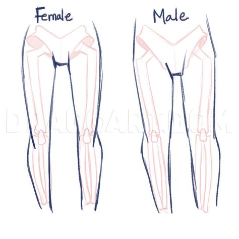 How To Draw Anime Anatomy, Step by Step, Drawing Guide, by PuzzlePieces | dragoart.com Anatomy Step By Step, Anime Anatomy, Vintage Prom Dresses, Female Legs, How To Draw Anime, Dress Mid Length, Výtvarné Reference, Polka Dot Party, Body Drawing Tutorial