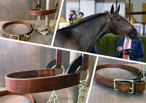 Beautiful plain show halter with chain and leather lead rope. The halter manufactured of top-quality saddle leather and carefully hand-stitched using traditional saddlery techniques. The show halter is perfect to use different events such as photo sessions, local fairs and professional show ring. Plain noseband has sturdy leather stays to keep the halter’s shape in the ring. Halter For Horses, Leather Stays, Leather Horse Halter, Horse Halters, Leather Halter, Lead Rope, Saddle Leather, Horse Tack, Hand Stitched