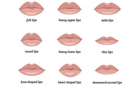 Every woman has a different type of lip. Your makeup should be based on your lip type in order to accentuate its features. In this article, we have listed the different types of lips and how you can take care of them. You will also find various temporary and permanent surgical options you can try if you want to change your lip shape. Types Of Lips, Homemade Garden Decorations, Increase Height Exercise, Lip Types, Types Of Kisses, Working Mom Tips, February Nails, Blood Sugar Diet, Nose Shapes