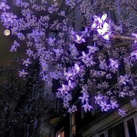 Madara Wallpaper, Violet Aesthetic, Purple Vibe, Lavender Aesthetic, 8bit Art, Dark Purple Aesthetic, Purple Themes, Nothing But Flowers, Aesthetic Stuff