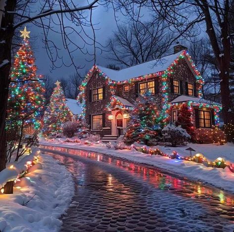 Christmas In Los Angeles, Christmas Lights Ideas, Lights Ideas, Christmas Dreaming, Christmas Vibe, Christmas Scenery, Christmas Collage, Cosy Christmas, Christmas Feeling