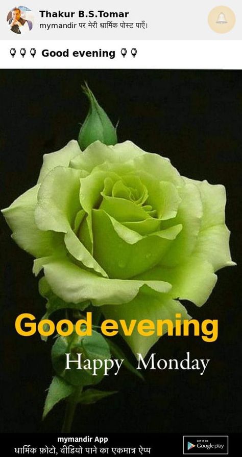 Evening Wishes, Good Evening Wishes, Evening Quotes, Good Evening Greetings, Have A Great Monday, Manic Monday, Evening Greetings, Monday Evening, Good Evening