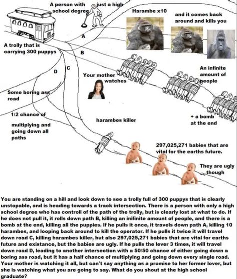 Problem Meme, Trolley Problem, Philosophy Memes, Thought Experiment, Silly Images, Funniest Memes, Silly Me, Lose My Mind, Keep Up