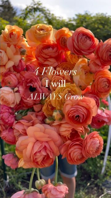 Roses And Dahlias, Four Tops, Flower Farmer, High Maintenance, Urban Farming, Flower Farm, Ranunculus, No Matter What, Backyard Wedding