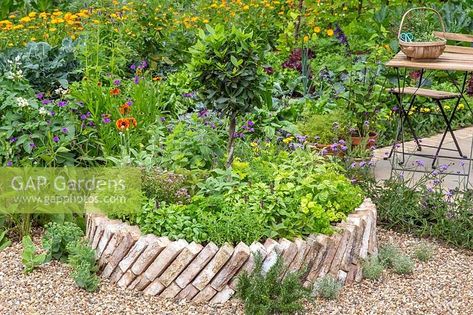 Circular raised brick bed with mixed herbs in vegetable garden Circle Raised Garden Beds, Brick Raised Garden Beds, Circular Lawn, Stone Paths, Vege Garden, Brick Edging, Landscaping Trees, Vegetable Bed, Brick Garden