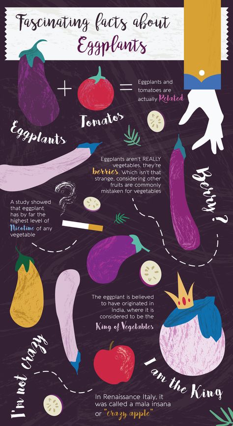 My eggplant infographic School Communication, Learn English Words, Plant Design, English Words, Infographic Design, Food Hacks, Eggplant, Learn English, Fruit