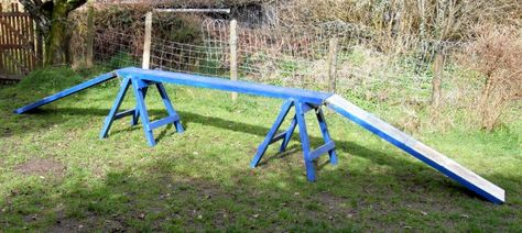 DIY Sawhorse Dog Agility Walk | PetDIYs.com Diy Sawhorse, Saw Horse Diy, Dog Agility Course, Agility Training For Dogs, Dog Yard, Dog Playground, Dog Enrichment, Dog Games, Dog Exercise