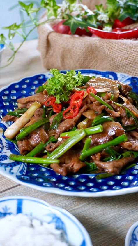 Beef with Ginger and Spring Onions Stir Fried Beef, Spring Onion Recipes, Ginger Beef, Mexican Beef, Mapo Tofu, Beef Salad, Fried Beef, Beef Stir Fry, Spring Onions